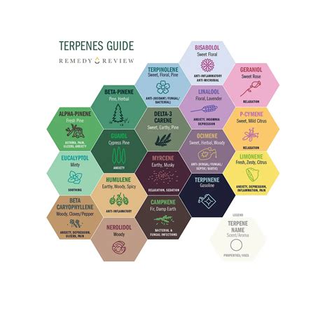 search strains by terpenes